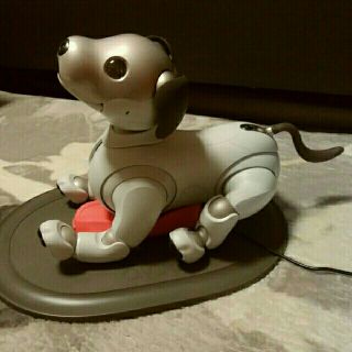 ソニー(SONY)のaibo アイボ ERS-1000 SONY(その他)