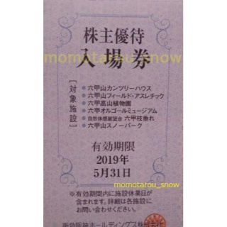 阪急阪神HD株主優待券 六甲山スノーパーク等入場券 2枚(スキー場)