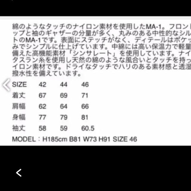 LAD MUSICIAN(ラッドミュージシャン)のLAD MUSICIAN 16AW MA-1 44サイズ メンズのジャケット/アウター(ブルゾン)の商品写真