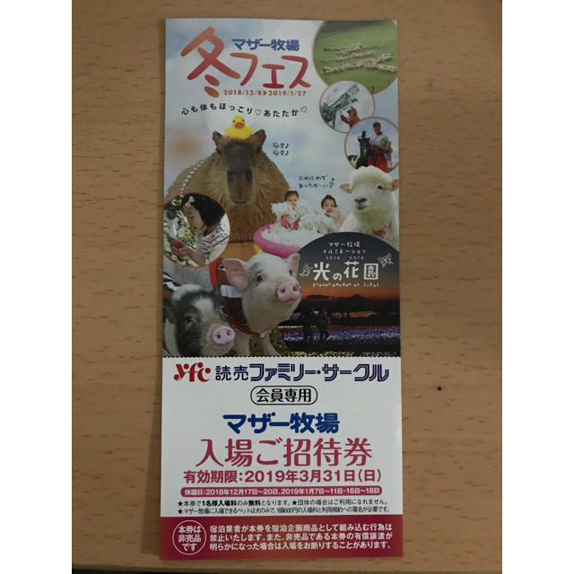 えりちゃん様専用★マザー牧場　入場ご招待券8枚★複数枚あり チケットの施設利用券(その他)の商品写真