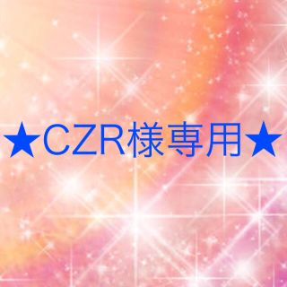 ワコール(Wacoal)のCZR様専用(その他)