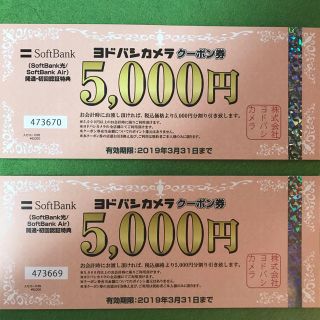 ヨドバシカメラクーポン券3万円分ショッピング