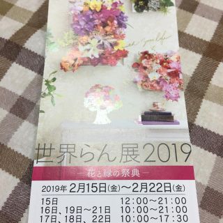 世界らん展  2019(その他)