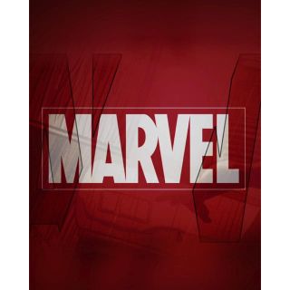 マーベル(MARVEL)のうさぎ様専用(その他)