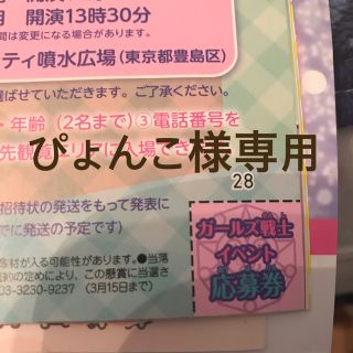 マジマジョピュアーズ ガールズ戦士 イベント応募券2枚(アイドルグッズ)