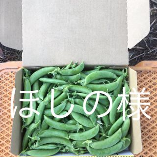 鹿児島産スナップエンドウ1キロ^_^(野菜)