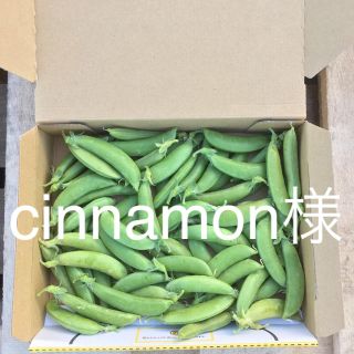 鹿児島産スナップエンドウ500g^_^(野菜)