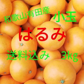 はるみ🍊小玉🍊キズあり家庭用🍊3㎏🍊送料込み(フルーツ)