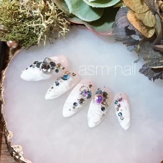 ネイルチップ ジェルネイル asmnail