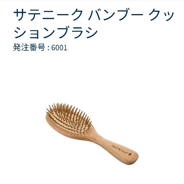 Amway(アムウェイ)のサテニーク ヘアブラシ コスメ/美容のヘアケア/スタイリング(ヘアブラシ/クシ)の商品写真