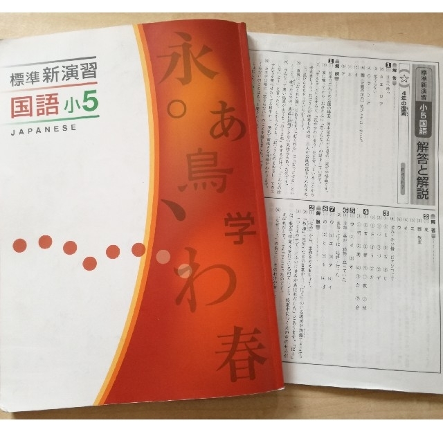 小学５年生 標準新演習 国語小５ 公立中高一貫 栄光ゼミナールの通販