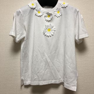 ドルチェアンドガッバーナ(DOLCE&GABBANA)のドルチェ＆ガッバーナ フラワーＴシャツ(Tシャツ(半袖/袖なし))