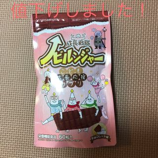 ノビルンジャー チョコ味の(その他)