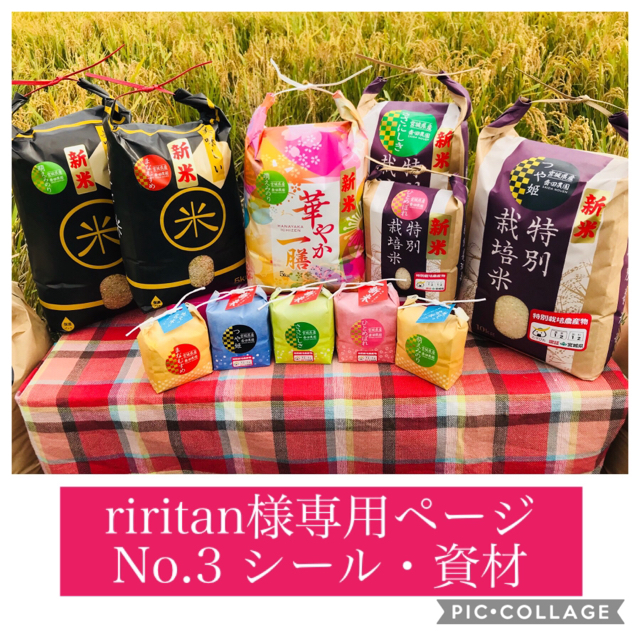 riritan様専用☆ 食品/飲料/酒の食品(米/穀物)の商品写真