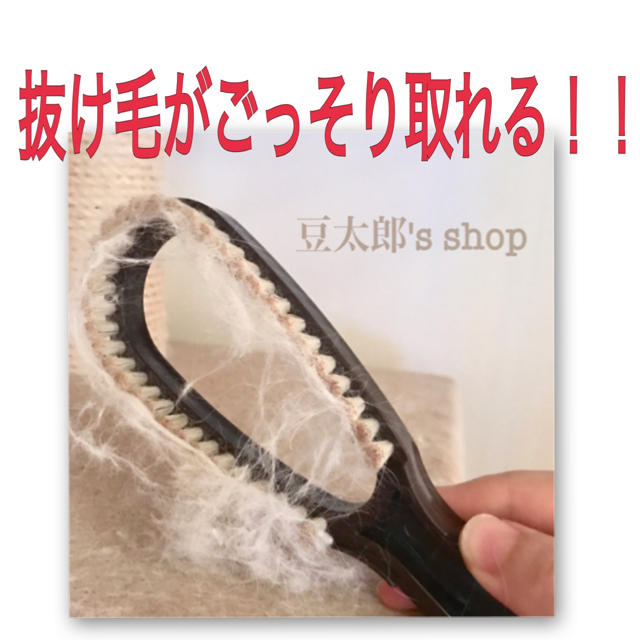 抜け毛とり ブラシ その他のペット用品(猫)の商品写真