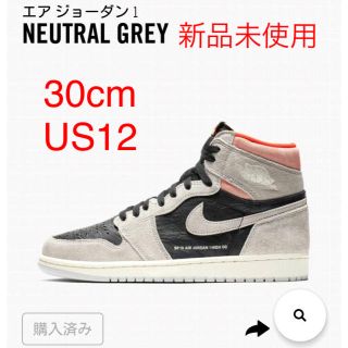 ナイキ(NIKE)のNIKE AIR JORDAN 1 neutral grey 30cm US12(スニーカー)