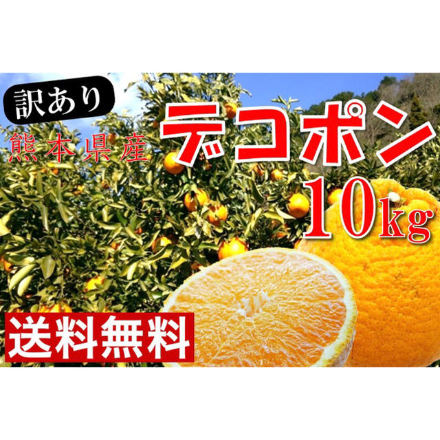 熊本県河内産 デコポン 10kg 【全国送料無料】訳あり 食品/飲料/酒の食品(フルーツ)の商品写真