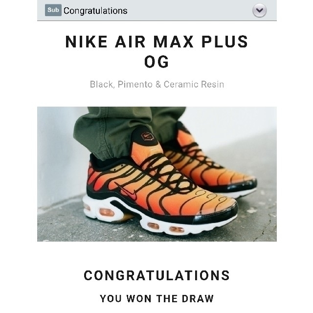 NIKE(ナイキ)のNike Air Max Plus OG メンズの靴/シューズ(スニーカー)の商品写真