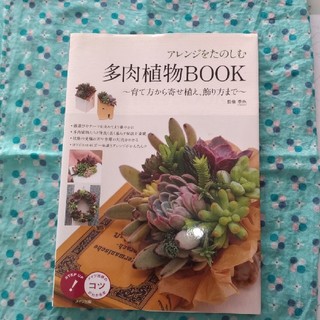 多肉植物BOOK(趣味/スポーツ/実用)