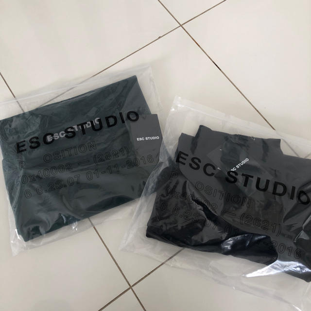 RAF SIMONS(ラフシモンズ)のEsc studio メンズのトップス(Tシャツ/カットソー(七分/長袖))の商品写真