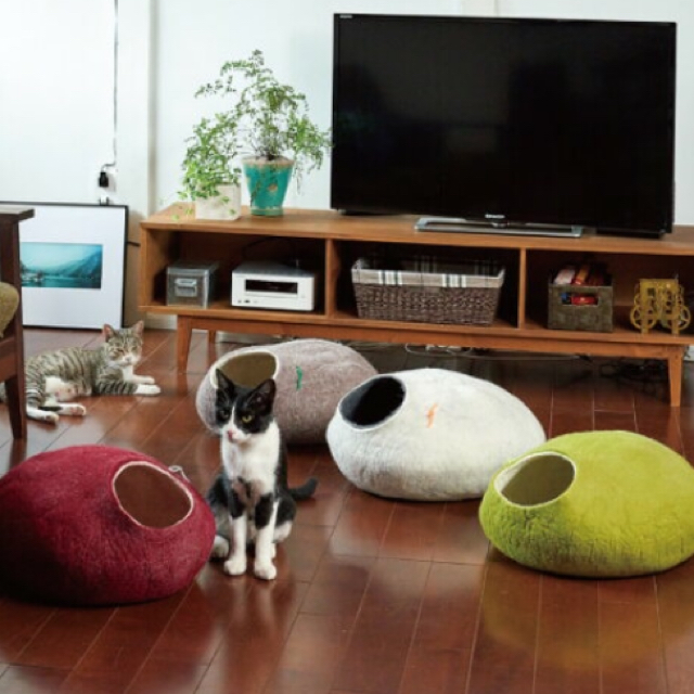 キビキス  Kivikis キャットハウス 美品 猫 猫グッズ その他のペット用品(猫)の商品写真