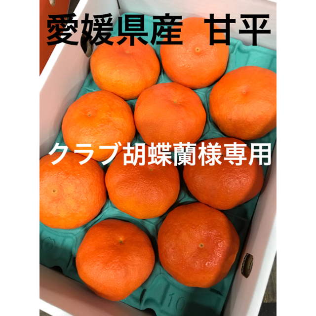 愛媛県産  甘平  かんぺい 食品/飲料/酒の食品(フルーツ)の商品写真