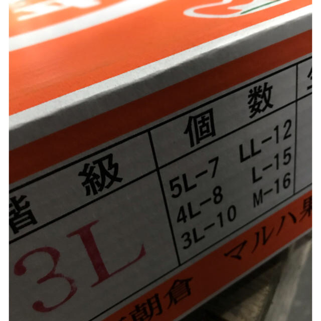 愛媛県産  甘平  かんぺい 食品/飲料/酒の食品(フルーツ)の商品写真