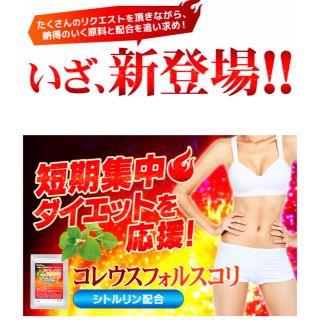 フォースコリーの代用に コレウスフォルスコリ 3ヶ月分 ダイエットサプリ(ダイエット食品)