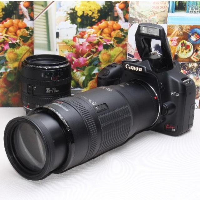 Canon - ❤️300mm超望遠付き❤️キャノンkiss X2 ダブルレンズ❤️