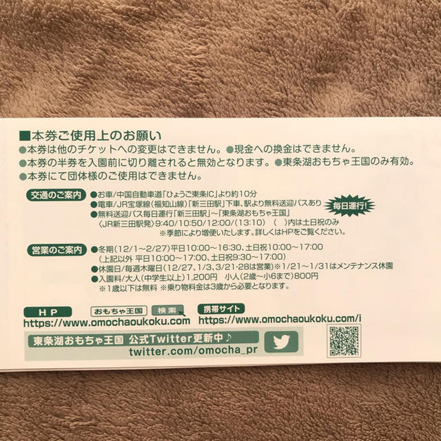【送料込】東条湖 おもちゃ王国 特別入園券 3枚 チケットの施設利用券(遊園地/テーマパーク)の商品写真