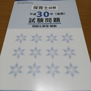 保育士試験問題集　平成30年後期(資格/検定)