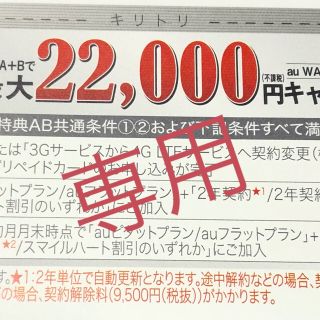 エーユー(au)のau スペシャル  銀クーポン 最大22000円分 1枚(その他)