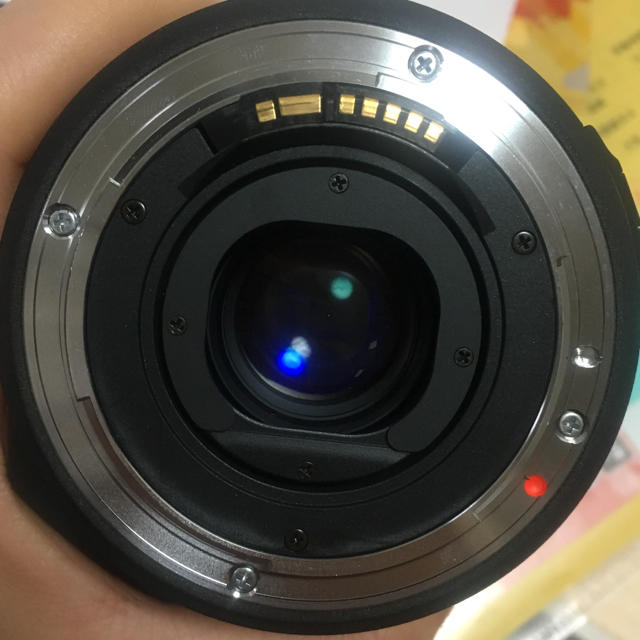 SIGMA(シグマ)のCaron 様専用 スマホ/家電/カメラのカメラ(レンズ(単焦点))の商品写真