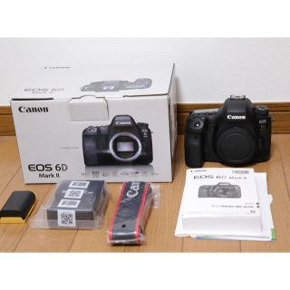 キヤノン(Canon)のcanon eos 6D mark 2 超美品(デジタル一眼)