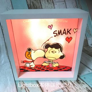 スヌーピー(SNOOPY)のスヌーピーシュルツミュージアム限定 Insert (絵画/タペストリー)