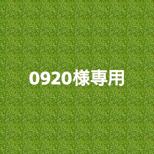 シャトレーゼ ゴルフ招待券 2枚セットの通販 by ソリナト's shop|ラクマ