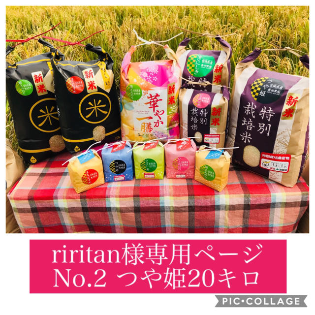 riritan様専用ページ 食品/飲料/酒の食品(米/穀物)の商品写真