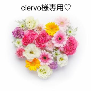 ベルメゾン(ベルメゾン)のciervo様専用♡ (マタニティ下着)