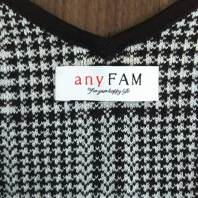 anyFAM(エニィファム)のanyfam ジャンパースカート レディースのワンピース(ひざ丈ワンピース)の商品写真