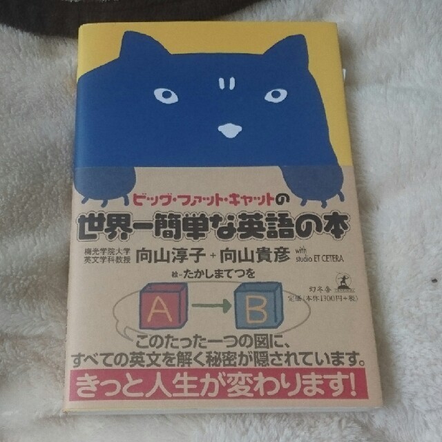 幻冬舎(ゲントウシャ)のビッグファットキャットの世界一簡単な英語の本 エンタメ/ホビーの本(ノンフィクション/教養)の商品写真