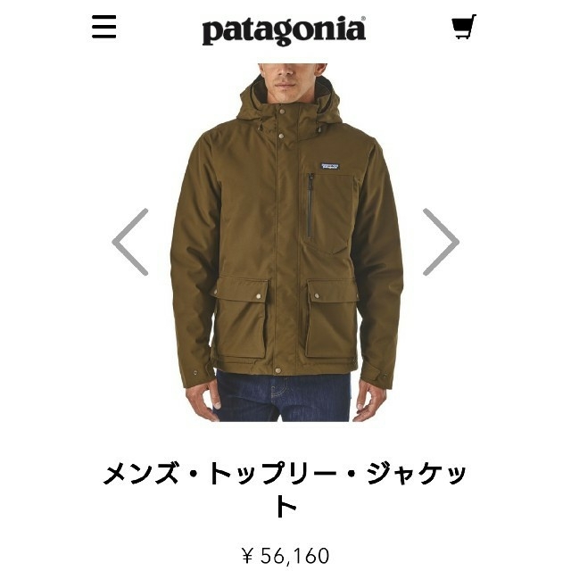 patagonia(パタゴニア)のゆうぱんさま専用パタゴニアトップリージャケット メンズのジャケット/アウター(ダウンジャケット)の商品写真