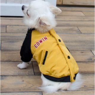 エドウィン(EDWIN)の【EDWIN】★新品未使用★(犬)