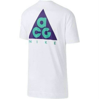 ナイキ(NIKE)のNike acg 18ss s/s logo tee(Tシャツ/カットソー(半袖/袖なし))