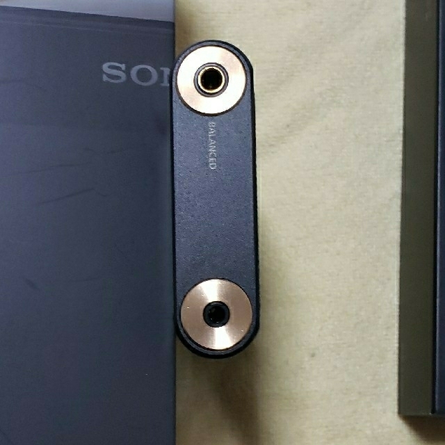 SONY NW-WM1A 　ケース、バランスケーブル、SD　フルセット