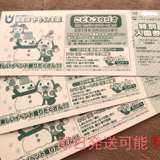 【送料込】東条湖 おもちゃ王国 特別入園券 3枚(遊園地/テーマパーク)