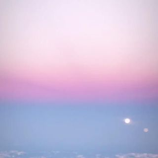 うさこ様専用(シャツ/ブラウス(長袖/七分))