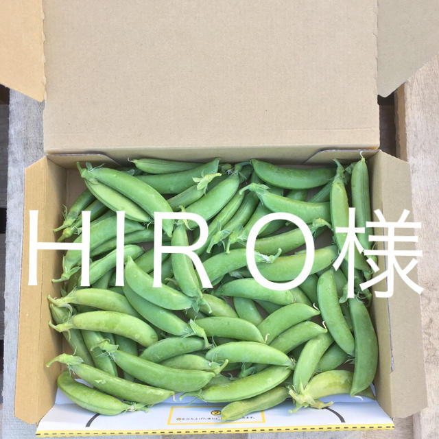 鹿児島産スナップエンドウ500g^_^ 食品/飲料/酒の食品(野菜)の商品写真