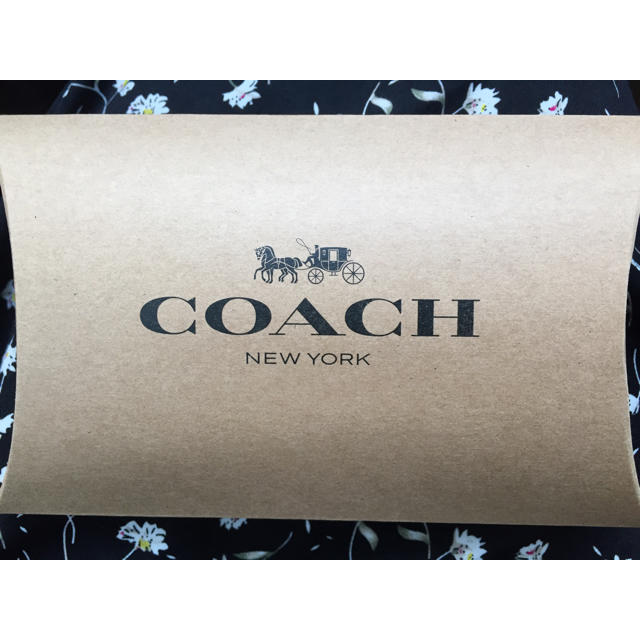 COACH(コーチ)の最終値下げコーチ パスケース コインケース 3/20まで レディースのファッション小物(名刺入れ/定期入れ)の商品写真