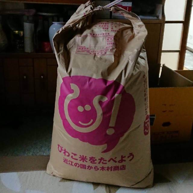 滋賀県産 キヌヒカリ 30キロ 食品/飲料/酒の食品(米/穀物)の商品写真