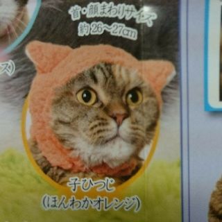 猫のかぶり物  いか 羊 新品未使用品 4枚(猫)